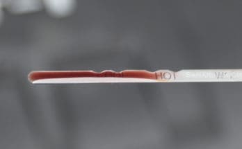 transmission fluid on dipstick showing correct levels